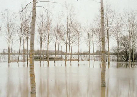 A Short Treatise on the Subject of Landscape. Кадр 2