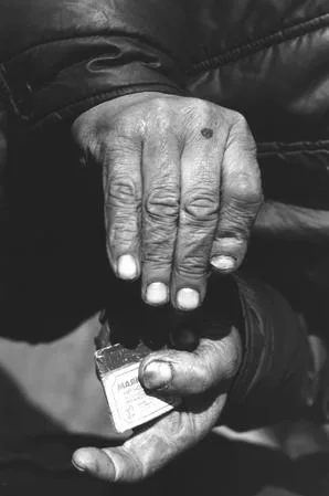 Vagabond. Кадр 11
