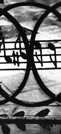 Songs of autumn city. Кадр 3