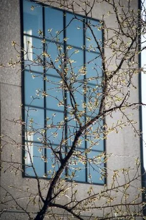 The Moscow windows. Parts. Кадр 10