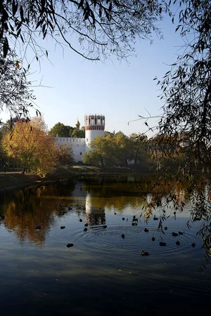 Осенняя мелодия. Кадр 3