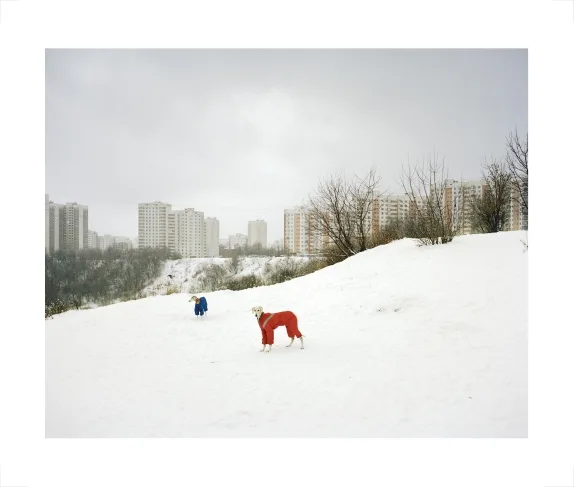 Зима, и все опять впервые. Кадр 5