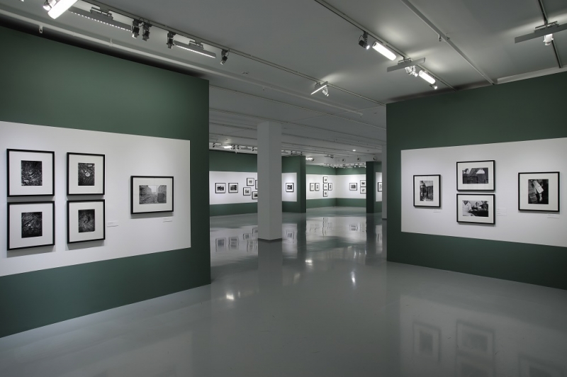 Новый реализм в российской фотографии. 1970 – 1990-е годы. Открытие, кадр 6