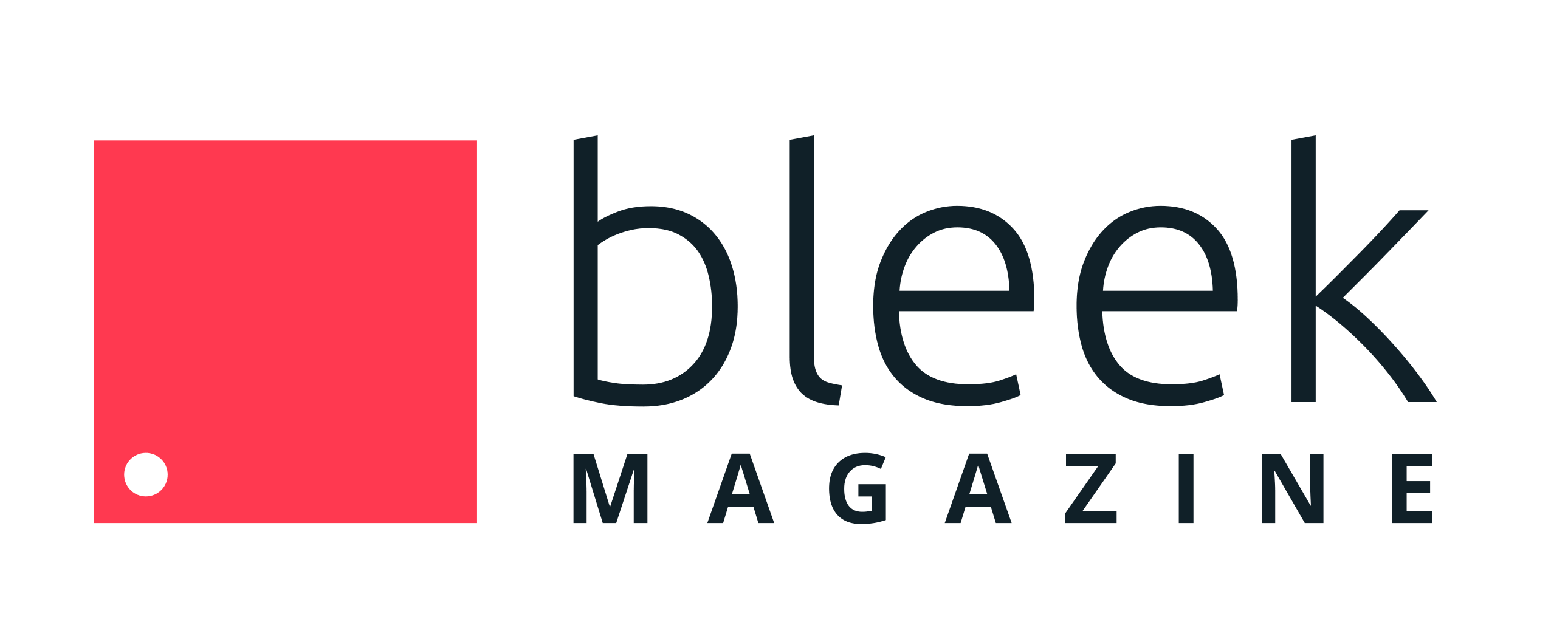 Bleek-magazine