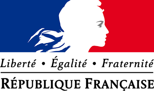 ru.ambafrance.org